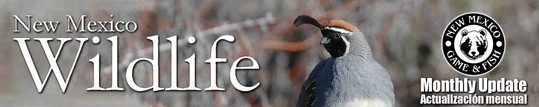 New Mexico Wildlife Monthly Update